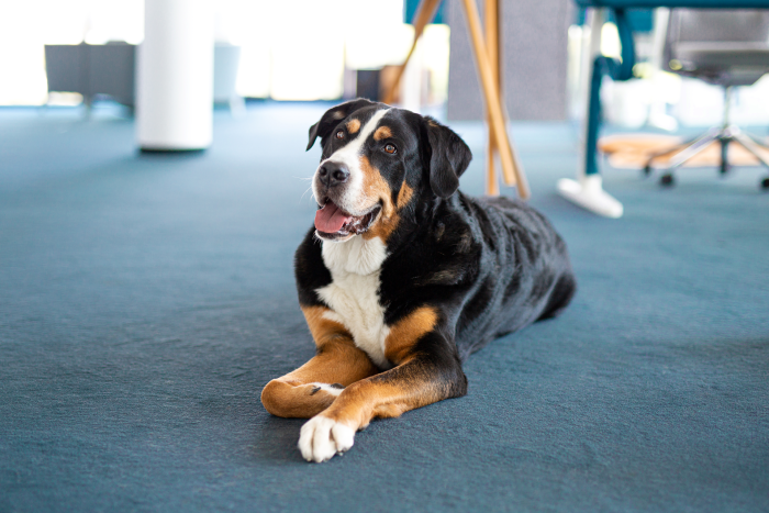 Feelgood Managers Image