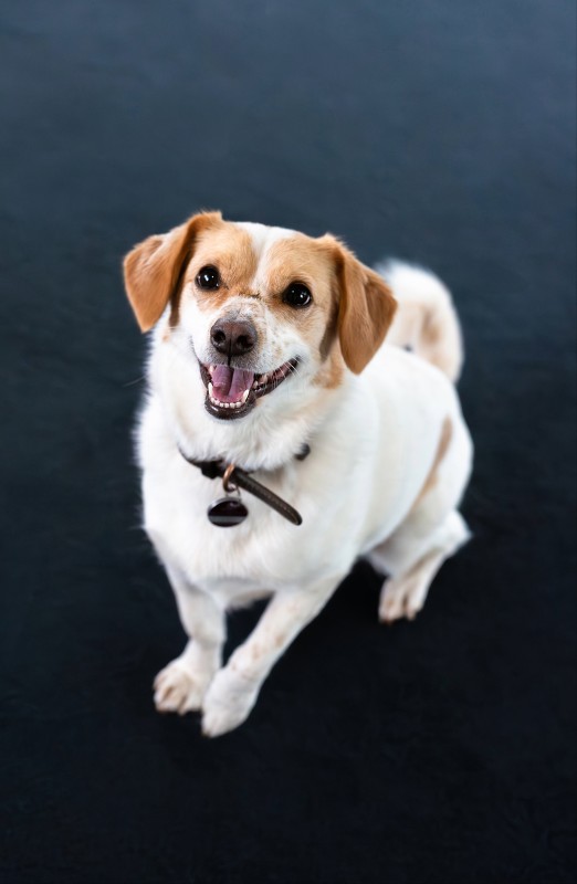 savvytec employee portrait of Pippa Brune, Feelgood Manager